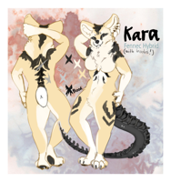 Kara ref.png